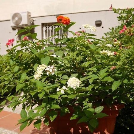 House With Garden And Parking Space In Mergellina เนเปิลส์ ภายนอก รูปภาพ